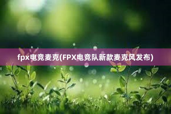 fpx电竞麦克(FPX电竞队新款麦克风发布)