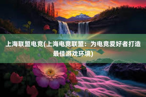 上海联盟电竞(上海电竞联盟：为电竞爱好者打造最佳游戏环境)