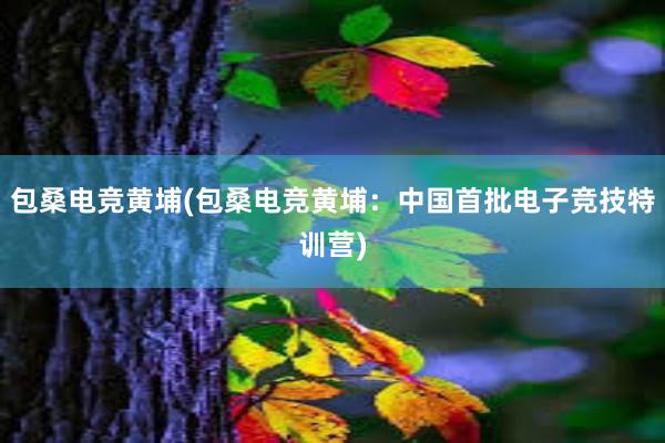 包桑电竞黄埔(包桑电竞黄埔：中国首批电子竞技特训营)