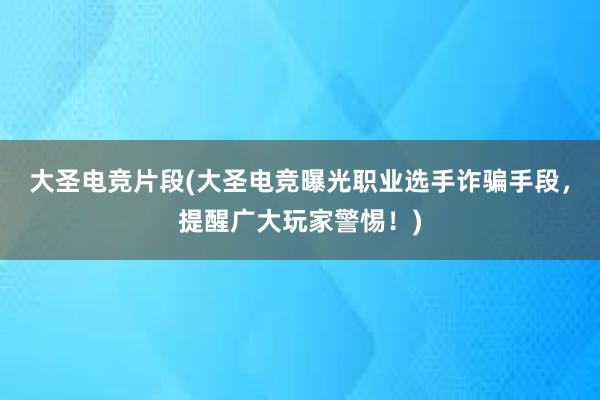 大圣电竞片段(大圣电竞曝光职业选手诈骗手段，提醒广大玩家警惕！)