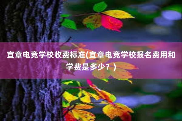 宜章电竞学校收费标准(宜章电竞学校报名费用和学费是多少？)