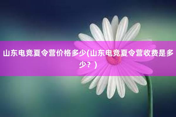 山东电竞夏令营价格多少(山东电竞夏令营收费是多少？)