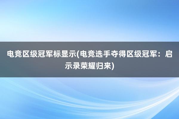 电竞区级冠军标显示(电竞选手夺得区级冠军：启示录荣耀归来)