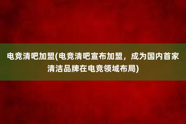 电竞清吧加盟(电竞清吧宣布加盟，成为国内首家清洁品牌在电竞领域布局)