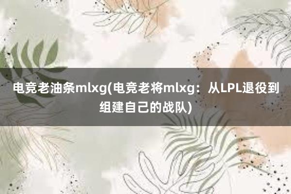 电竞老油条mlxg(电竞老将mlxg：从LPL退役到组建自己的战队)