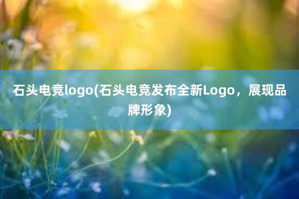 石头电竞logo(石头电竞发布全新Logo，展现品牌形象)