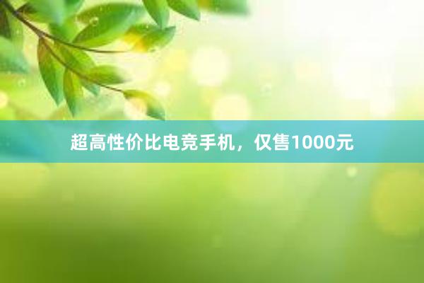 超高性价比电竞手机，仅售1000元