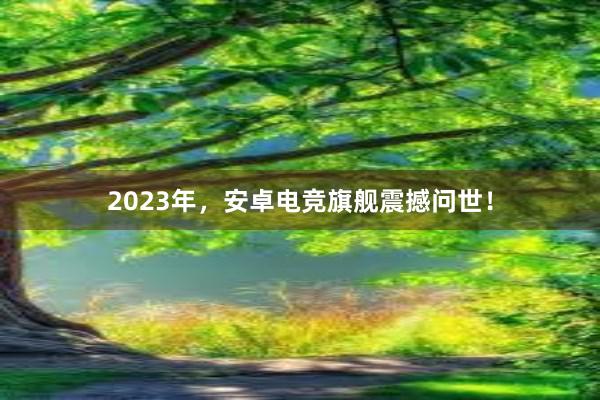 2023年，安卓电竞旗舰震撼问世！