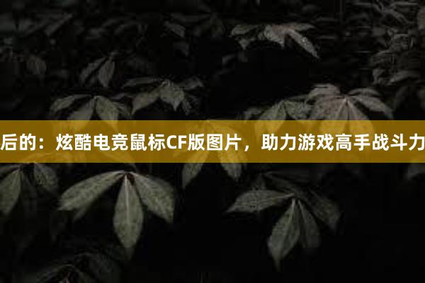 后的：炫酷电竞鼠标CF版图片，助力游戏高手战斗力