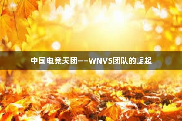 中国电竞天团——WNVS团队的崛起