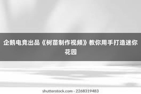 企鹅电竞出品《树苗制作视频》教你用手打造迷你花园