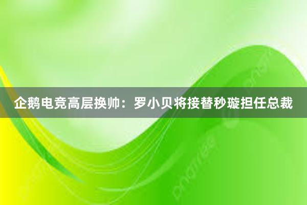 企鹅电竞高层换帅：罗小贝将接替秒璇担任总裁