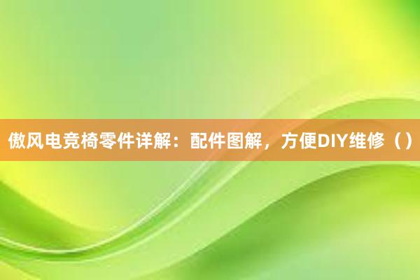 傲风电竞椅零件详解：配件图解，方便DIY维修（）