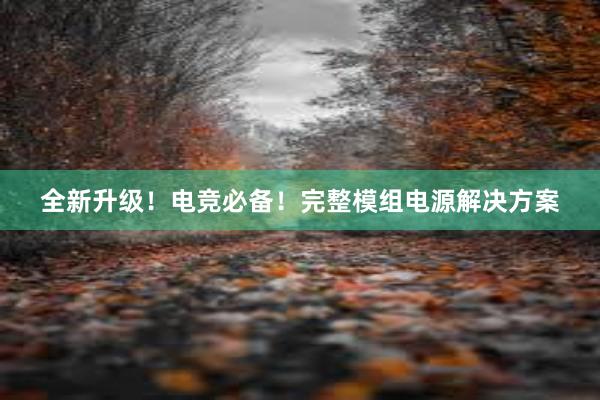 全新升级！电竞必备！完整模组电源解决方案