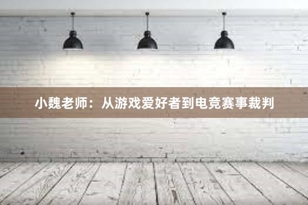 小魏老师：从游戏爱好者到电竞赛事裁判