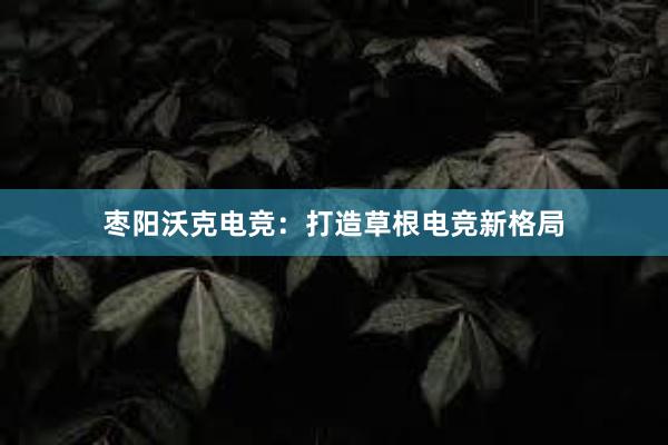 枣阳沃克电竞：打造草根电竞新格局