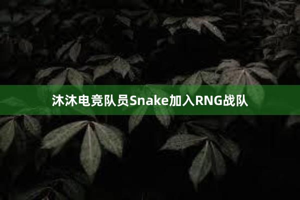 沐沐电竞队员Snake加入RNG战队