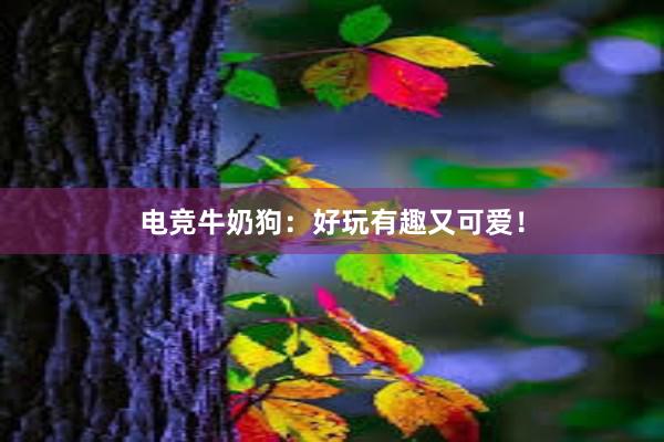 电竞牛奶狗：好玩有趣又可爱！