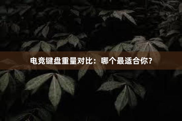 电竞键盘重量对比：哪个最适合你？