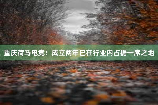 重庆荷马电竞：成立两年已在行业内占据一席之地