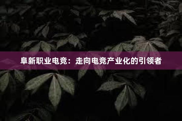 阜新职业电竞：走向电竞产业化的引领者